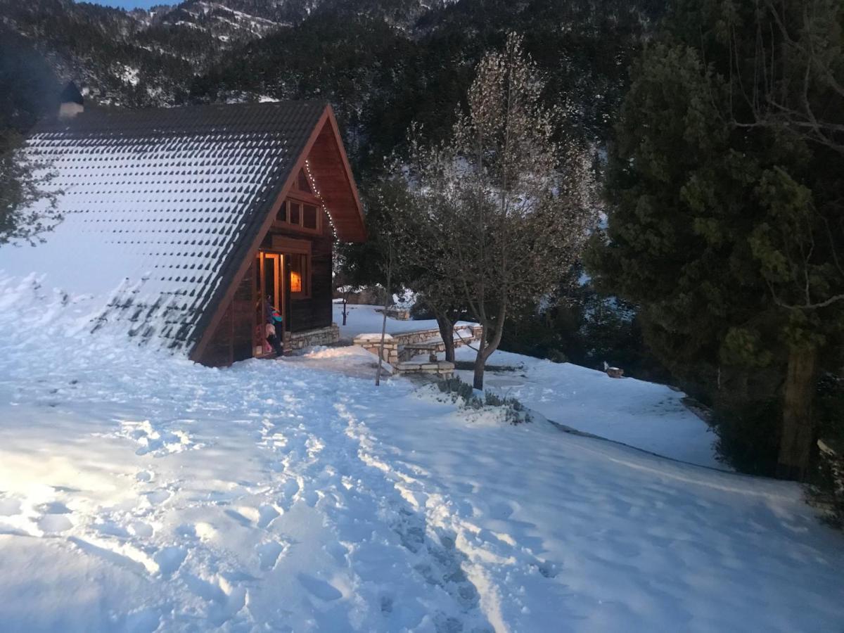 Chalet In The Forest Kalavryta Extérieur photo