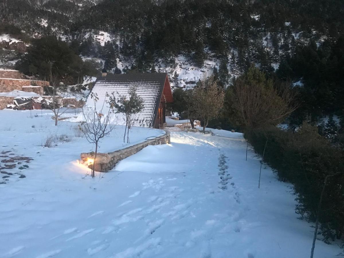 Chalet In The Forest Kalavryta Extérieur photo