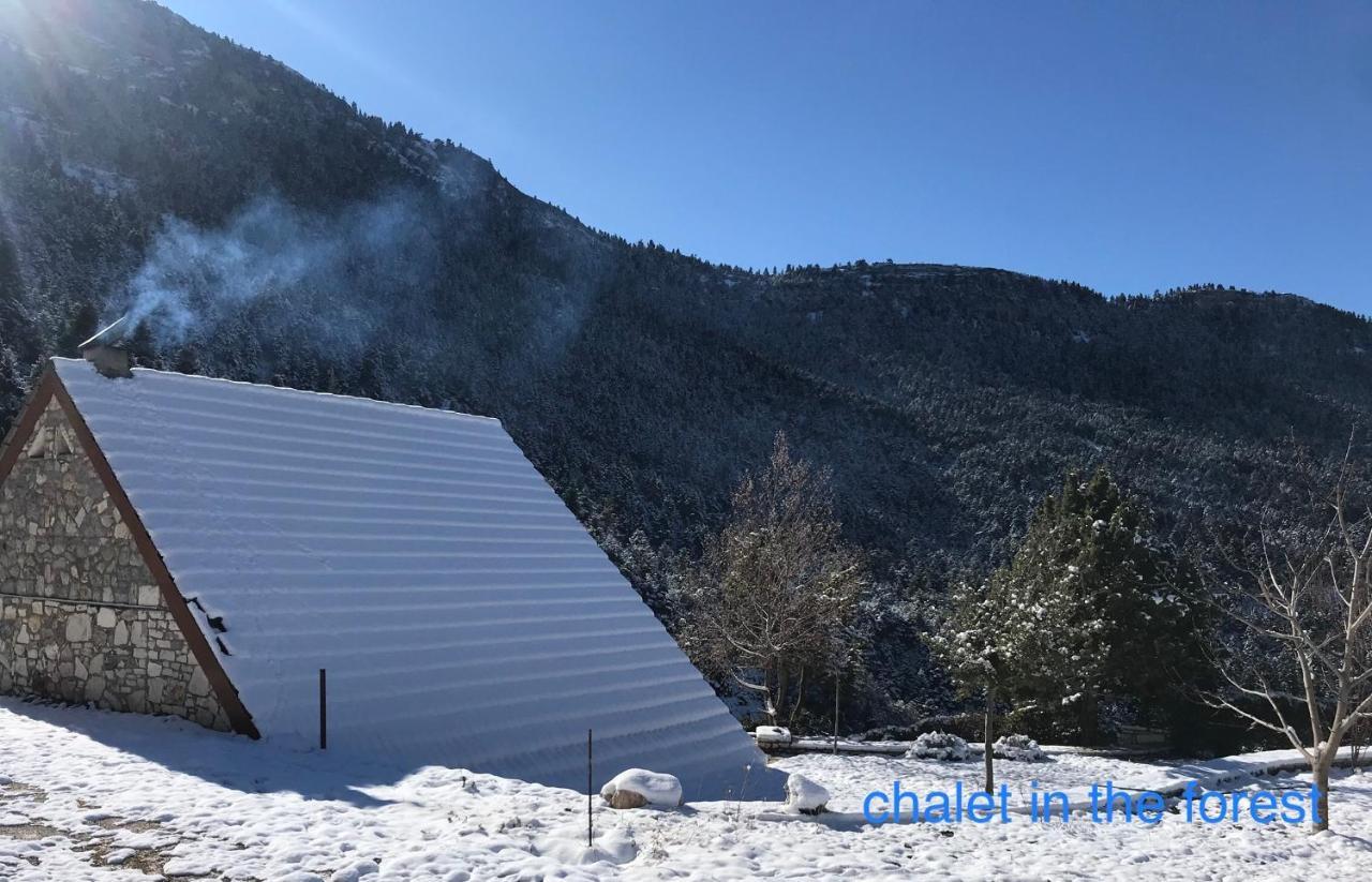 Chalet In The Forest Kalavryta Extérieur photo