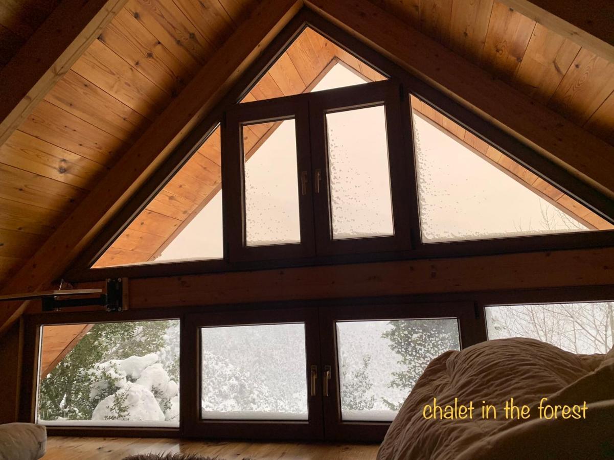 Chalet In The Forest Kalavryta Extérieur photo