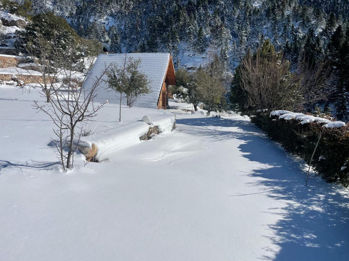 Chalet In The Forest Kalavryta Extérieur photo