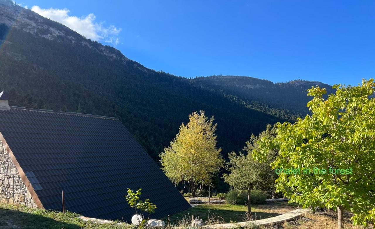 Chalet In The Forest Kalavryta Extérieur photo