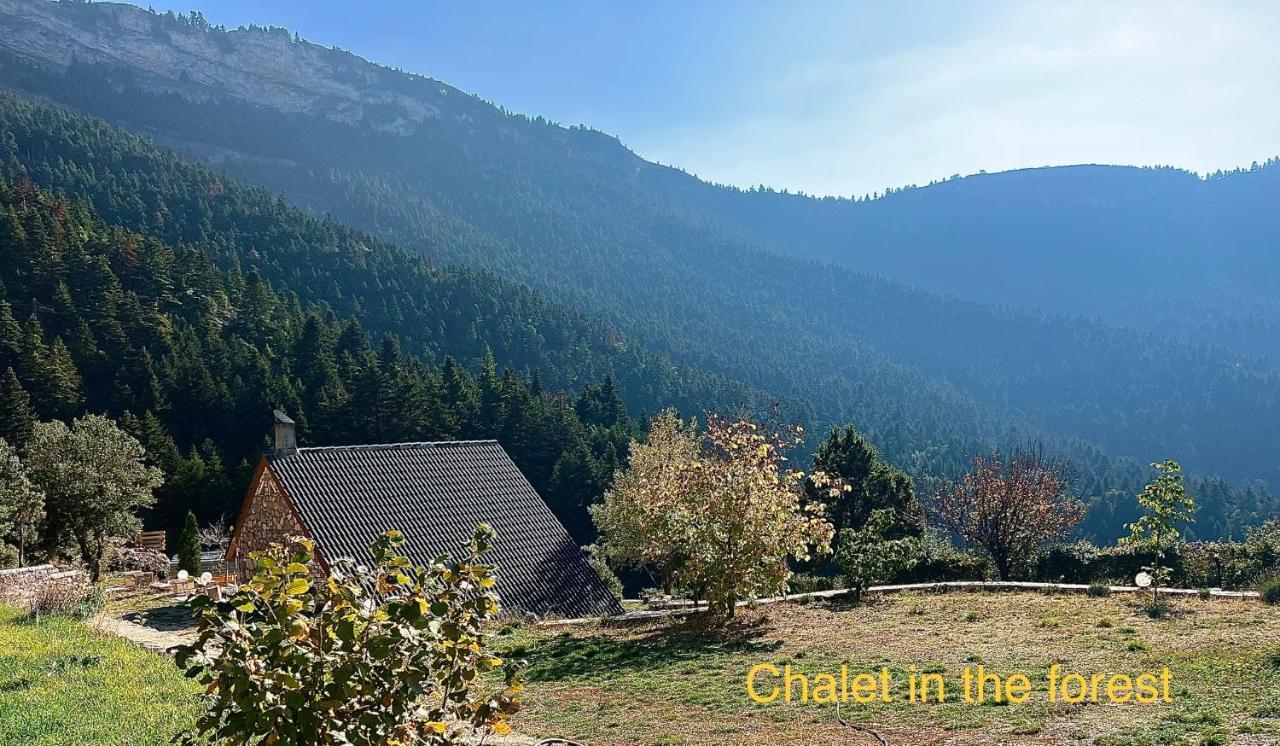 Chalet In The Forest Kalavryta Extérieur photo