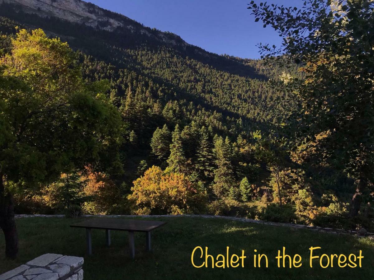 Chalet In The Forest Kalavryta Extérieur photo