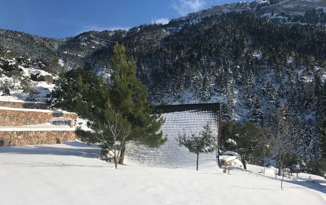 Chalet In The Forest Kalavryta Extérieur photo