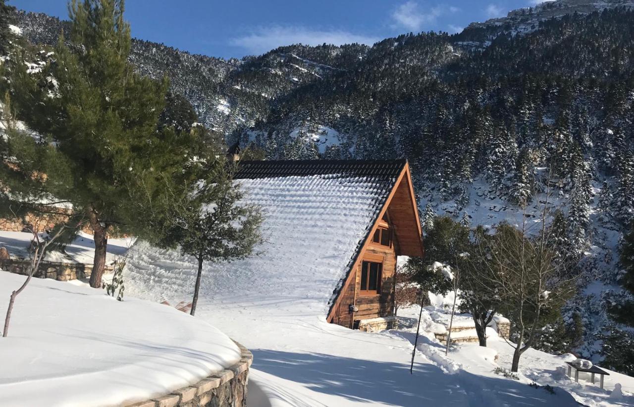 Chalet In The Forest Kalavryta Extérieur photo
