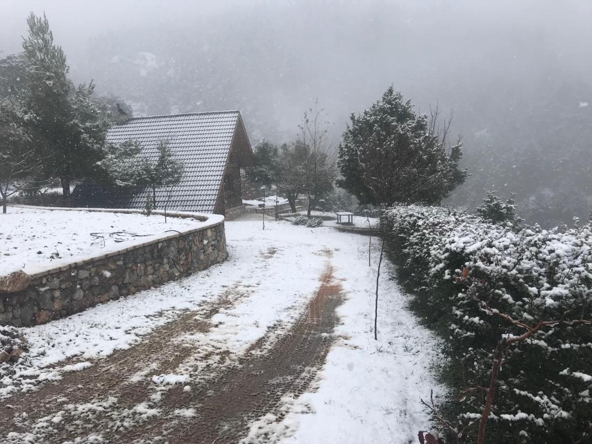 Chalet In The Forest Kalavryta Extérieur photo