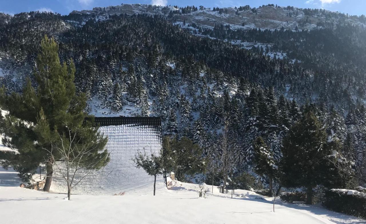 Chalet In The Forest Kalavryta Extérieur photo