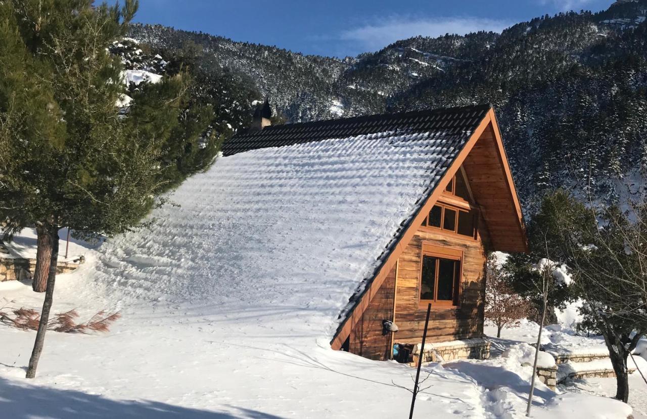 Chalet In The Forest Kalavryta Extérieur photo
